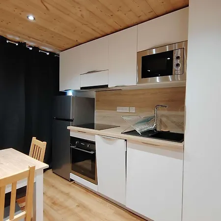 Apartment Somptueux Renove, 4 Pers., Au Pied Des Pistes - Fr-1-545-57