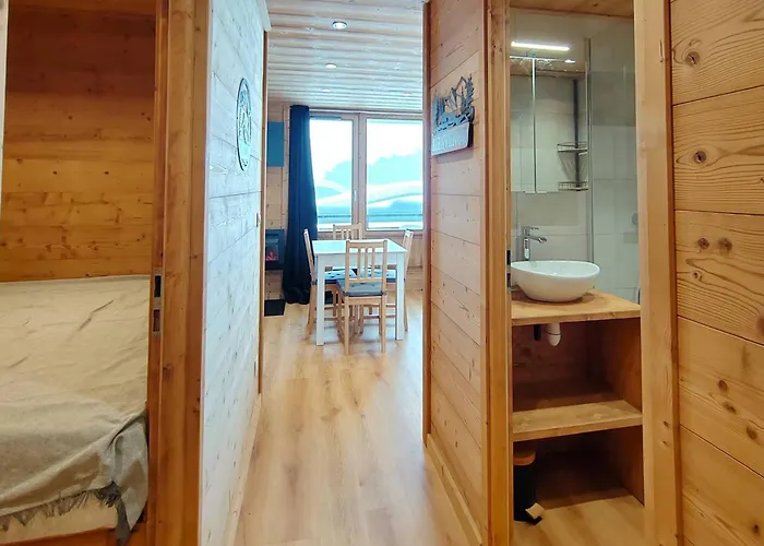 Somptueux Renove, 4 Pers., Au Pied Des Pistes - Fr-1-545-57 *